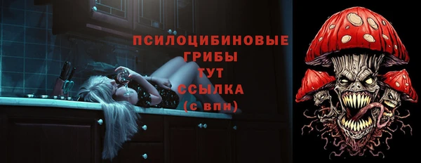 PSILOCYBIN Остров