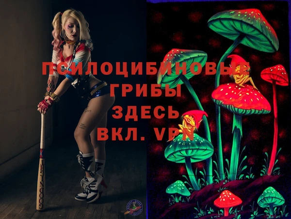 PSILOCYBIN Остров
