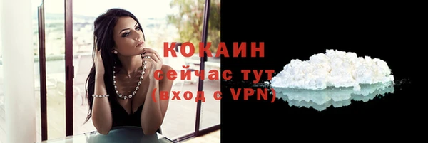 PSILOCYBIN Остров