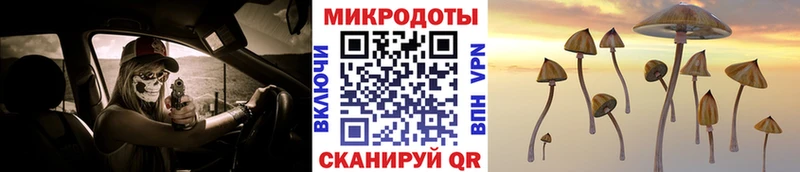 Купить закладки  Салават  Псилоцибиновые грибы мицелий 